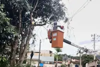 Prefeitura intensifica mutirão de limpeza e manutenção nos bairros de São Gonçalo