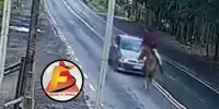 Homem em cavalo invade pista e provoca colisão entre dois carros na rodovia MG-060