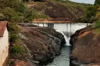 Floresta Municipal Estação Ambiental de Peti comemora 43 anos com lançamento de site