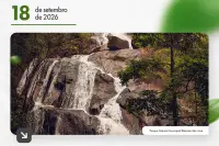 Itabira terá nove dias de atividades sobre árvores, clima e preservação ambiental