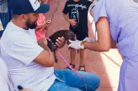 IMUNIZAÇÃO DE CÃES E GATOS- Itabira supera meta de vacinação antirrábica e realiza repescagem neste sábado em regiões de menor cobertura