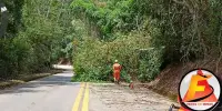 Bombeiros desobstruem rodovia LMG-779 após queda de árvores em Itabira