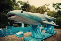 Baleia de quase 10 metros e gigantes do oceano invadem a Mata do Intelecto em exposição gratuita
