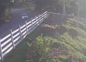 Foto: Redes sociais / reprodução